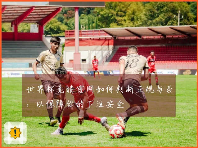 世界杯竞猜官网如何判断正规与否，以保障你的下注安全