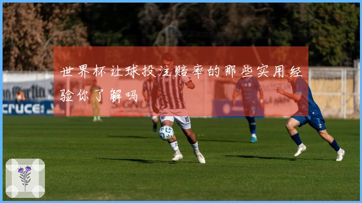 世界杯让球投注赔率的那些实用经验你了解吗