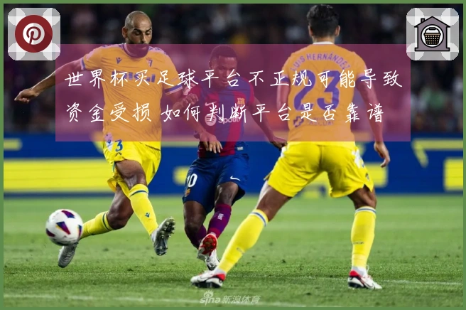 世界杯买足球平台不正规可能导致资金受损 如何判断平台是否靠谱