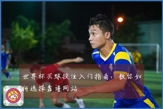 世界杯买球投注入门指南，教你如何选择靠谱网站