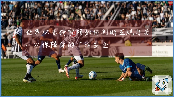世界杯竞猜官网如何判断正规与否，以保障你的下注安全