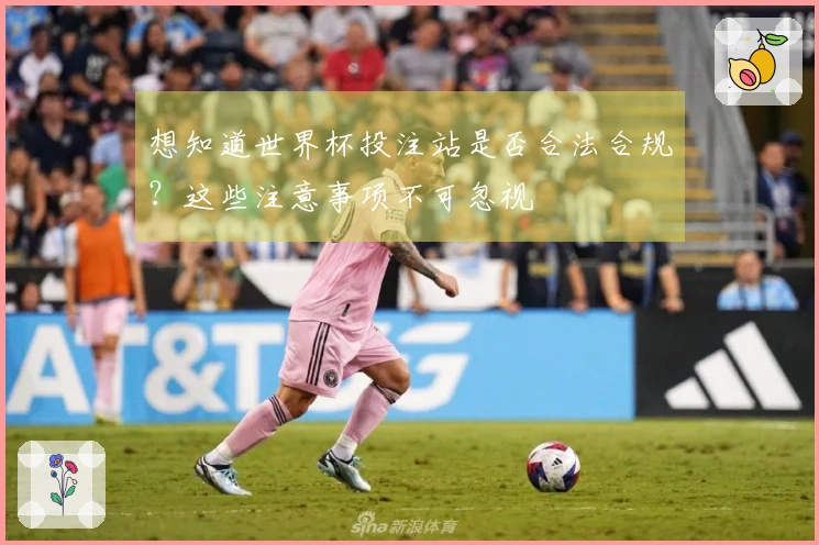 想知道世界杯投注站是否合法合规？这些注意事项不可忽视