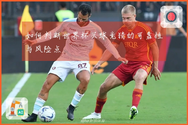 如何判断世界杯买球竞猜的可靠性与风险点