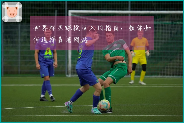 世界杯买球投注入门指南，教你如何选择靠谱网站