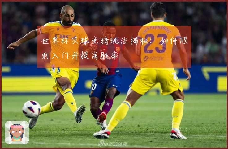世界杯买球竞猜玩法揭秘：如何顺利入门并提高胜率