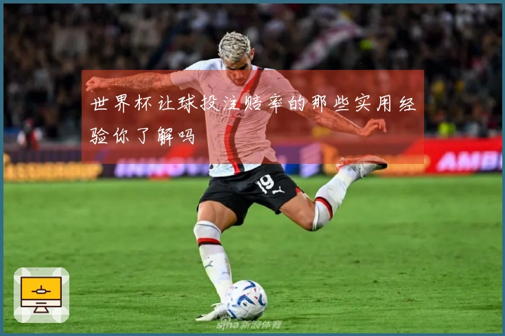 世界杯让球投注赔率的那些实用经验你了解吗